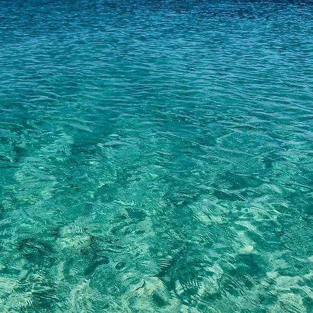 Апартаменты Flat 5